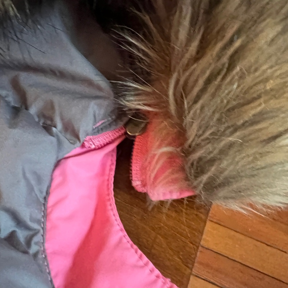New The North Face bubblegum PINK winter jacket!!! - Picture 7 of 7